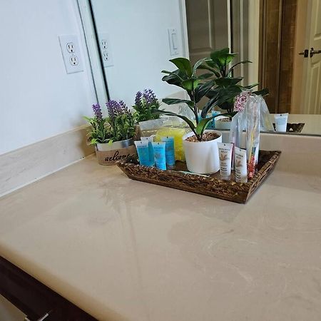 D&N Property Rental 迈阿密 外观 照片